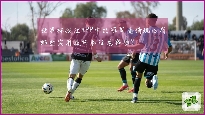 世界杯投注APP中的冠军竞猜玩法有哪些实用技巧和注意事项？
