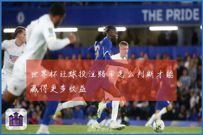 世界杯让球投注赔率怎么判断才能赢得更多收益