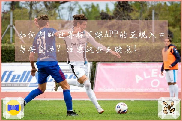 如何判断世界杯买球APP的正规入口与安全性？注意这些关键点！