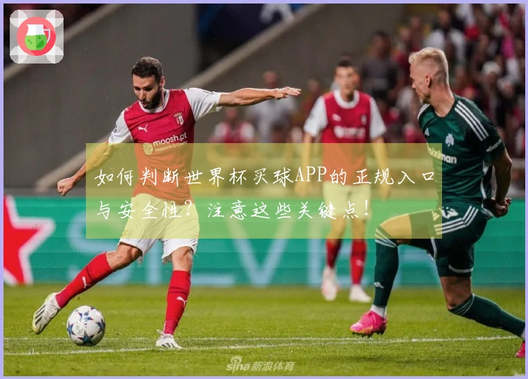 如何判断世界杯买球APP的正规入口与安全性？注意这些关键点！