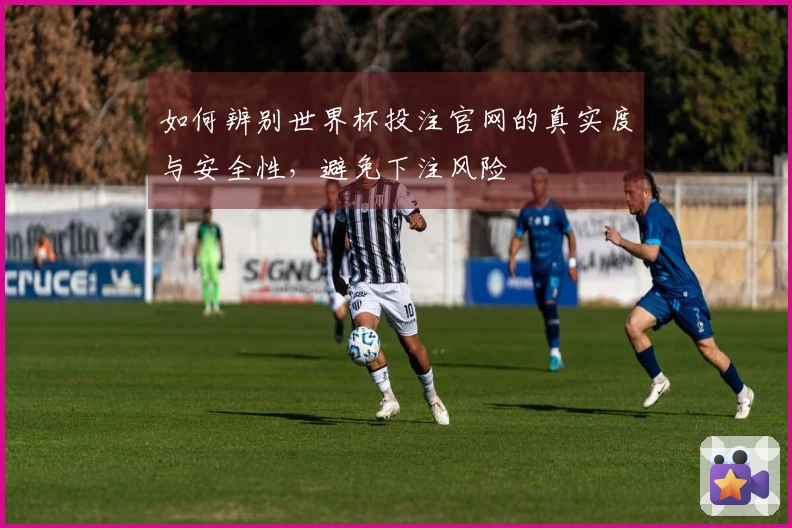如何辨别世界杯投注官网的真实度与安全性，避免下注风险